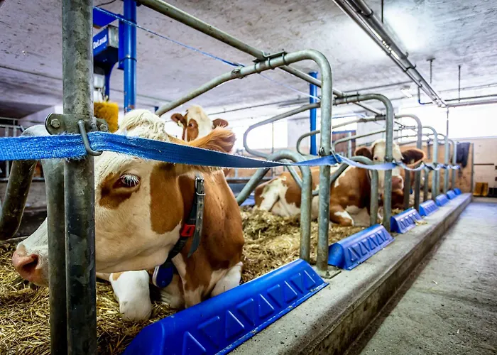 Lahner Appartamento Bramberg am Wildkogel